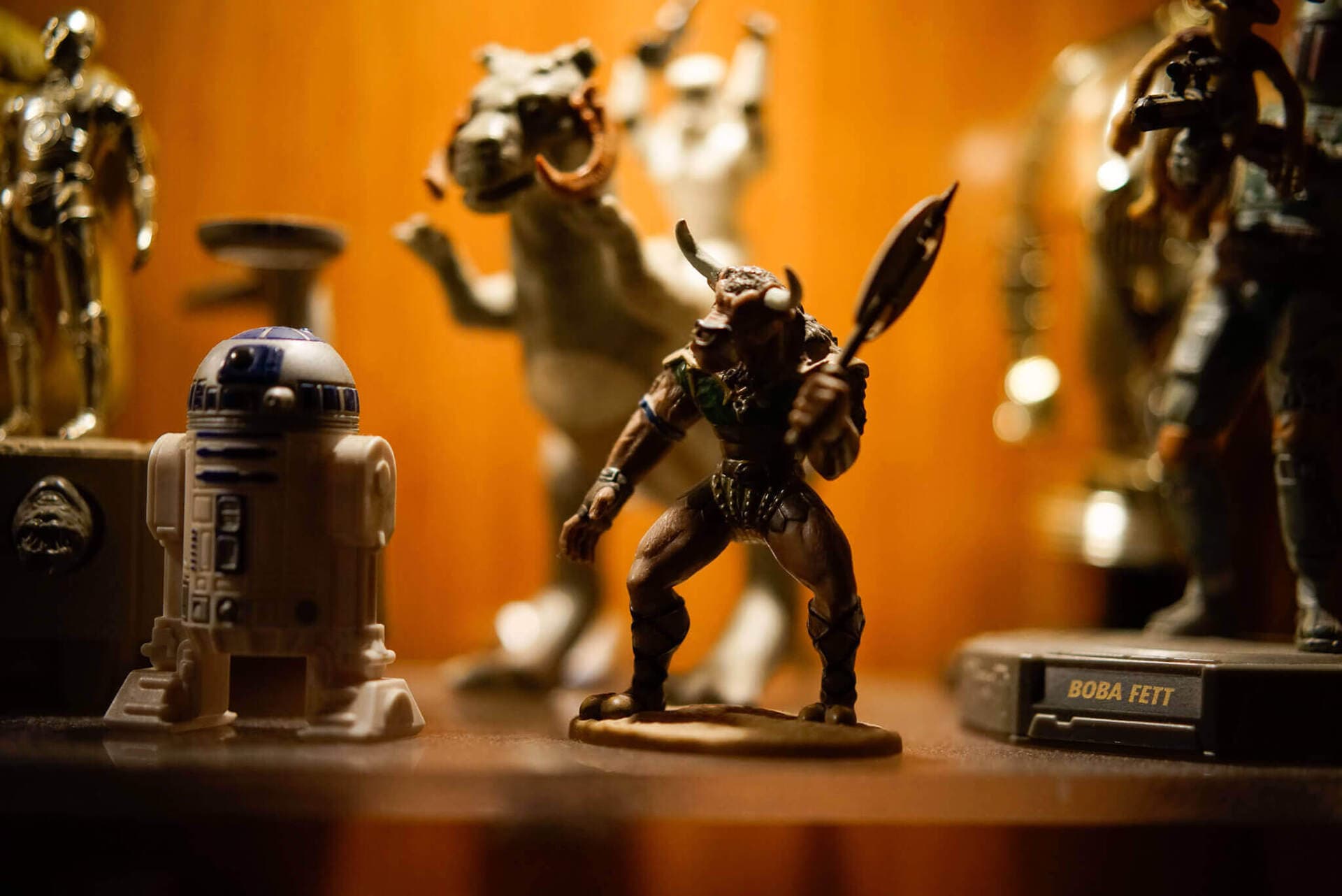 Eclectic collectibles and figurines lining the shelves at Cenote